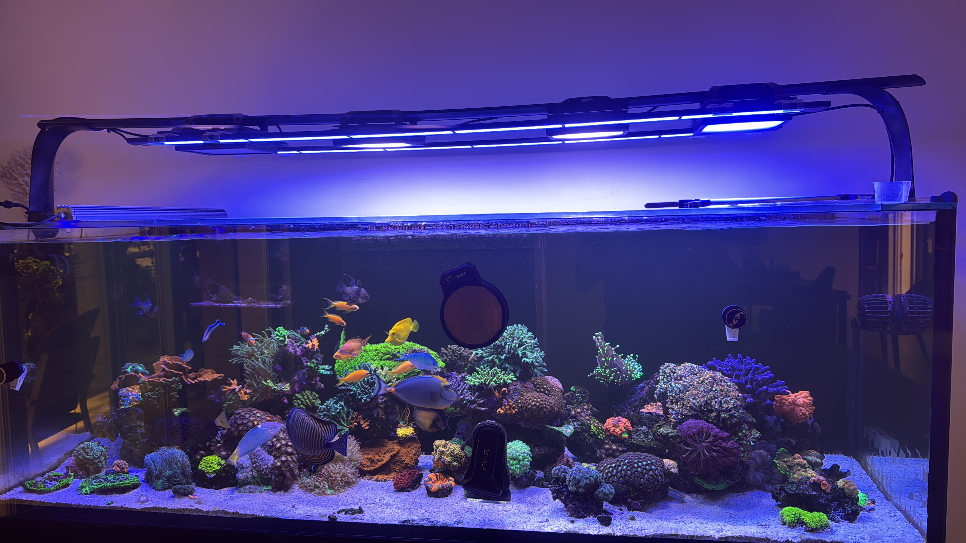 The Reefer Rollercoaster — Why We Keep Doing This to Ourselves